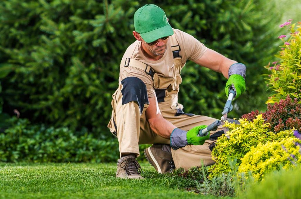 Commercial Landscape Maintenance and Installation